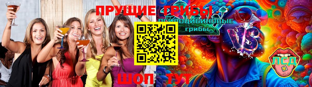Псилоцибиновые грибы прущие грибы  Вход с VPN  Мурино 